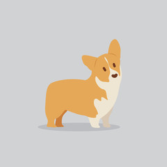 Corgi dog vector cartoon illustration. Cute friendly welsh corgi puppy, isolated on grey. Pets, animals, canine theme design element in contemporary simple flat style