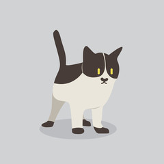 cat vector cartoon illustration. Cute friendly welsh cat, isolated on grey. Pets, animals, cat theme design element in contemporary simple flat style