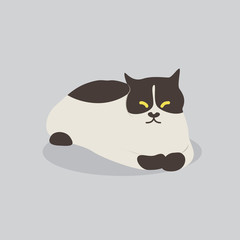 cat vector cartoon illustration. Cute friendly welsh cat, isolated on grey. Pets, animals, cat theme design element in contemporary simple flat style