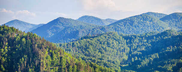 Mountains covered with forest, summer sunny day, panoramic view