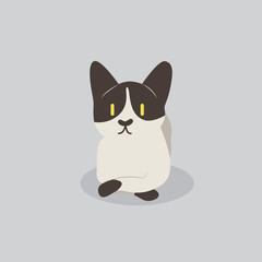 cat vector cartoon illustration. Cute friendly welsh cat, isolated on grey. Pets, animals, cat theme design element in contemporary simple flat style