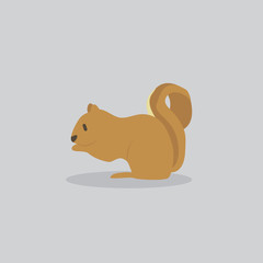 squirrel vector cartoon illustration. Cute friendly squirrel, isolated on grey. Pets, animals, squirrel theme design element in contemporary simple flat style