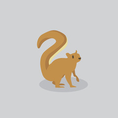 squirrel vector cartoon illustration. Cute friendly squirrel, isolated on grey. Pets, animals, squirrel theme design element in contemporary simple flat style