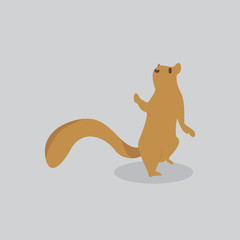 squirrel vector cartoon illustration. Cute friendly squirrel, isolated on grey. Pets, animals, squirrel theme design element in contemporary simple flat style