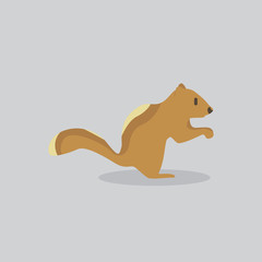 squirrel vector cartoon illustration. Cute friendly squirrel, isolated on grey. Pets, animals, squirrel theme design element in contemporary simple flat style