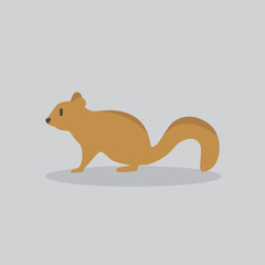 squirrel vector cartoon illustration. Cute friendly squirrel, isolated on grey. Pets, animals, squirrel theme design element in contemporary simple flat style