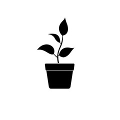 Young sprout in a pot simple icon. Plant with leaves in a pot symbol isolated on white background