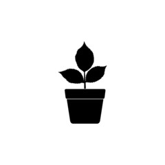 Young sprout in a pot simple icon. Plant with leaves in a pot symbol isolated on white background
