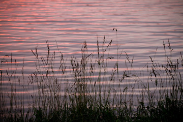 Sunset Water Reflections