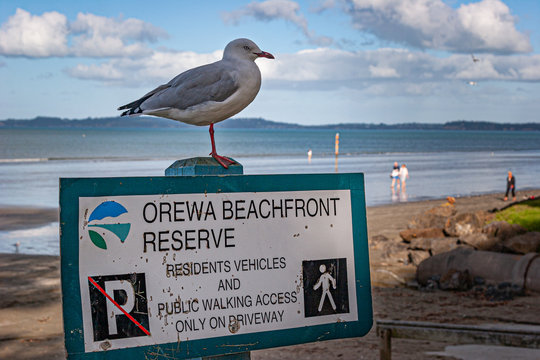 Ingresso spiaggia Orewa