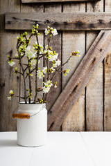 cherry flower blossom branch in enamel milk canister at white wooden table, old weathered wood wall background