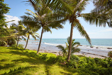 Fototapeta na wymiar Tropical landscape with palm trees and the sea, Sri Lanka.