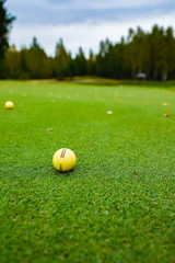 yellow golf ball on the field