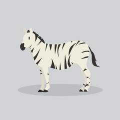 Cartoon zebra. Cute Cartoon zebra, Vector illustration on a grey background. Drawing for children.