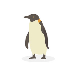 Cartoon penguin. Cute Cartoon penguin, Vector illustration on a white background. Drawing for children.