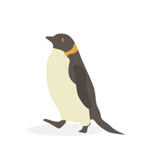 Cartoon penguin. Cute Cartoon penguin, Vector illustration on a white background. Drawing for children.