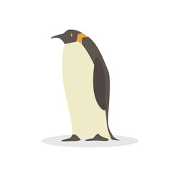 Cartoon penguin. Cute Cartoon penguin, Vector illustration on a white background. Drawing for children.
