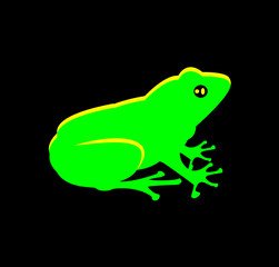 Isolated vector image of a bright green little frog. Australian grasshopper on a black background. Little cute amphibian.