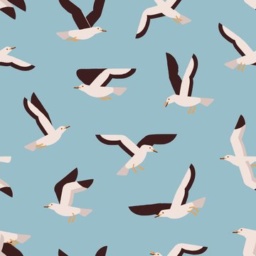 Cartoon colorful flight marine bird seamless pattern. Atlantic seabird creature enjoying freedom on blue background. Flying seagull vector flat illustration. Polar north natural wildlife