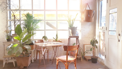 Indoor garden plant .natural interior decoration living room in retro style 
