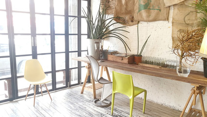 Indoor garden plant .natural interior decoration living room in retro style 