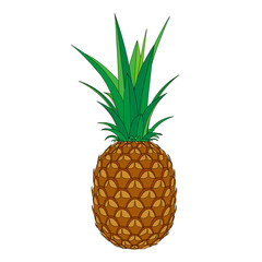 Fototapeta premium Ripe pineapple drawing Isolated on a white background. Exotic tropical fruits. Healthy eating concept. Flat style