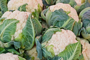 Cauliflower
