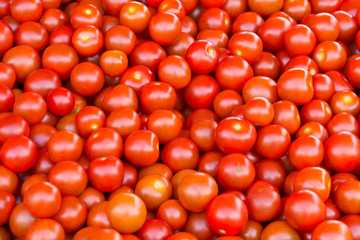 Tomatos