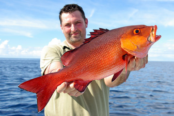 Deep sea fishing, catch of fish, lucky  fisherman holding a beautiful red snapper - obrazy, fototapety, plakaty