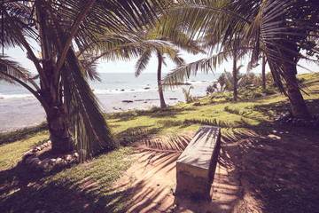 Seaside view bench in palm trees shade, color toning applied.
