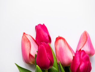 Fototapeta na wymiar Beautiful tulips bouquet