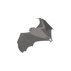 Fototapeta premium Cartoon bat. Cute Cartoon bat, Vector illustration on a white background. Drawing for children.