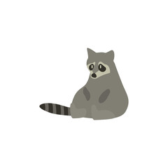 Cartoon raccoon. Cute Cartoon raccoon, Vector illustration on a white background. Drawing for children.