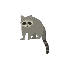 Cartoon raccoon. Cute Cartoon raccoon, Vector illustration on a white background. Drawing for children.