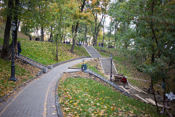 beautiful landscape. green trees in the park.