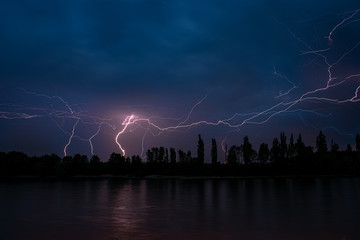Lightning in the forest