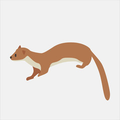 Fototapeta premium Cartoon otter. Cute Cartoon otter, Vector illustration on a white background. Drawing for children.