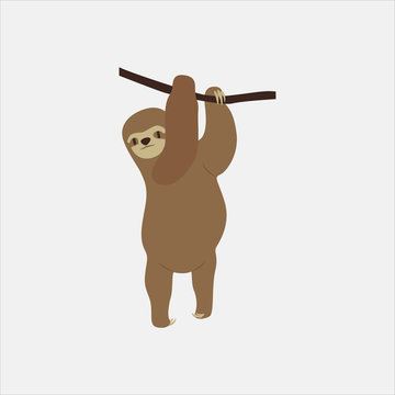 brown sloth hanging on branch clip art preview