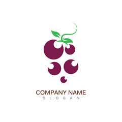 Grape fruit flat vector template icon illustration design