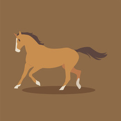 Cartoon horse. Cute Cartoon horse, Vector illustration on a brown background. Drawing for children.