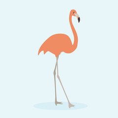 Cartoon pink flamingo. Cute Cartoon pink flamingo, Vector illustration on a blue background. Drawing for children.