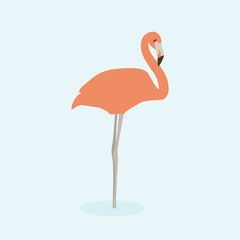 Cartoon pink flamingo. Cute Cartoon pink flamingo, Vector illustration on a blue background. Drawing for children.