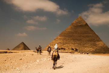 camels and local people of the giza pyramids