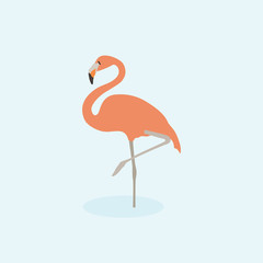 Cartoon pink flamingo. Cute Cartoon pink flamingo, Vector illustration on a blue background. Drawing for children.