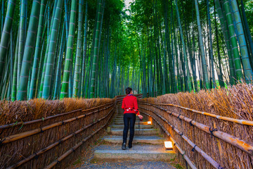 Asian women tourists visiting the bamboo forest in Kyoto.