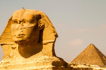 sphinx in Pyramids of Giza