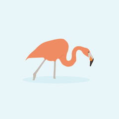 Cartoon pink flamingo. Cute Cartoon pink flamingo, Vector illustration on a blue background. Drawing for children.