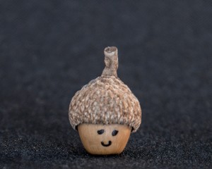 Face drawn on a small acorn forming a doll © lancho