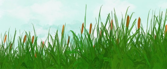 Obraz premium watercolor flowers grass landscape .Abstract green grass Spring nature field with flowers background illustration