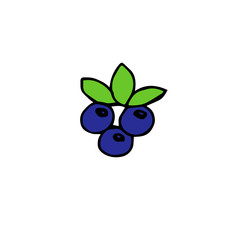Blueberry, purple and green colors, vector illustration